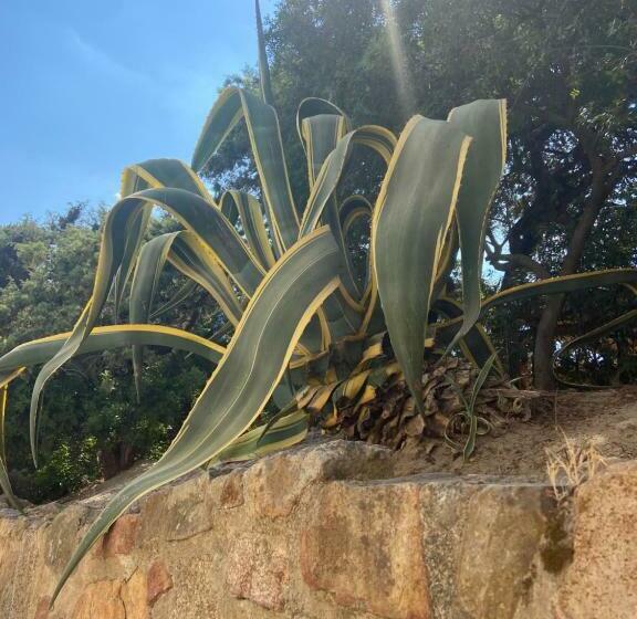 Номер Стандарт, Villa Zinnibiri