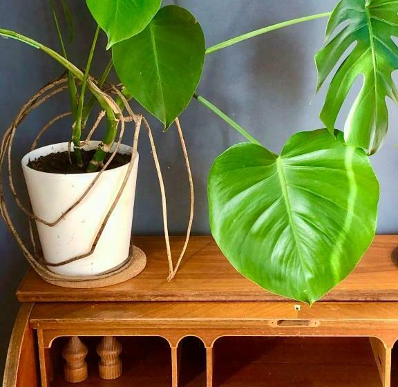 Семейный Номер, Färglabbets Bed And Breakfast