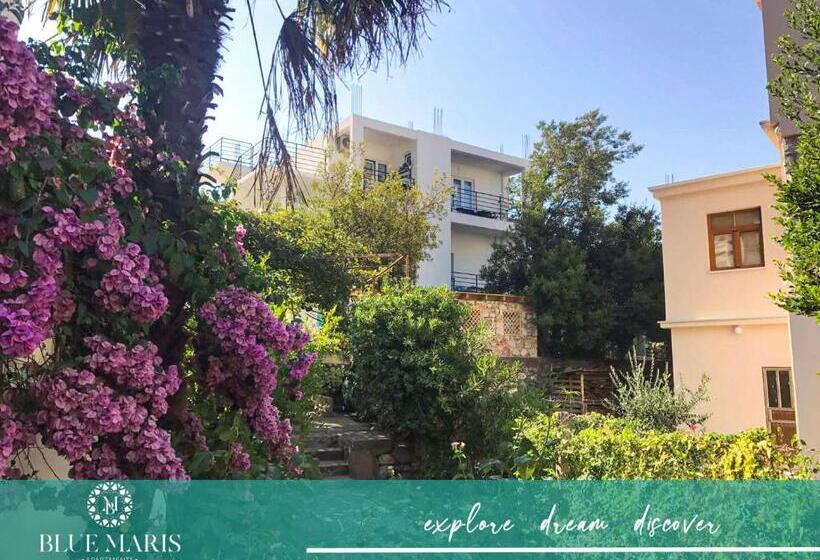 Studio Standard Vue Mer, Blue Maris