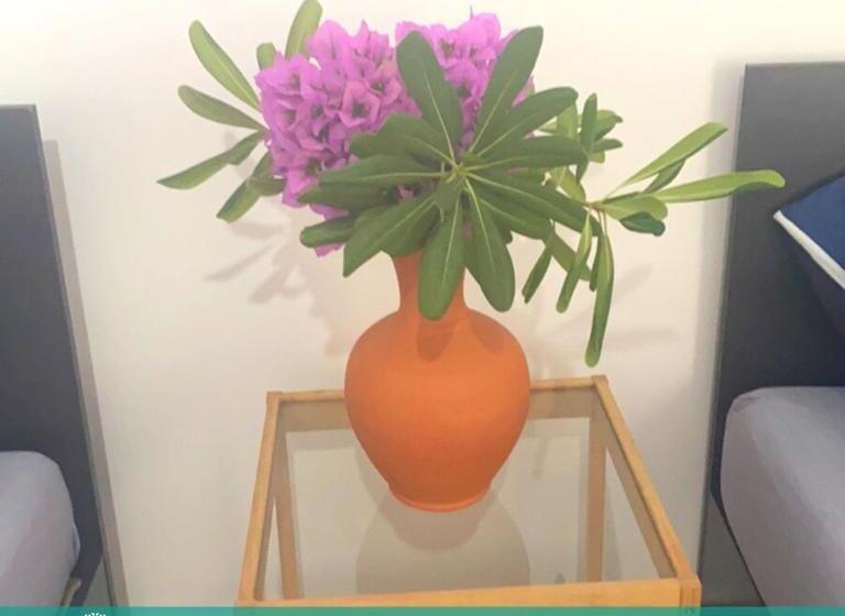 Chambre Supérieure, Blue Maris