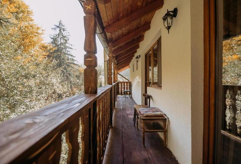 غرفة قياسية, Casa De Sub Munte