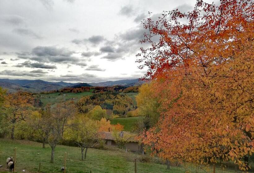 스탠다드 룸 킹사이즈 침대, Le Nid Du Kaloui