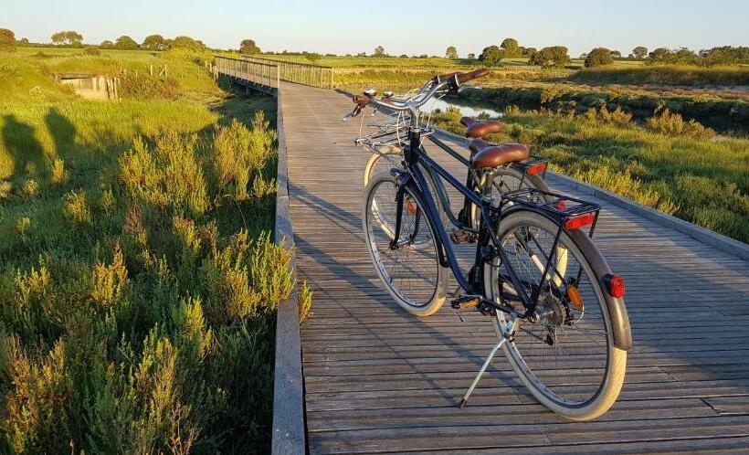 家庭套房, Sea Snow Guest Houses