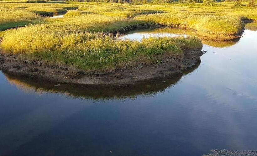 豪华海景房, Sea Snow Guest Houses