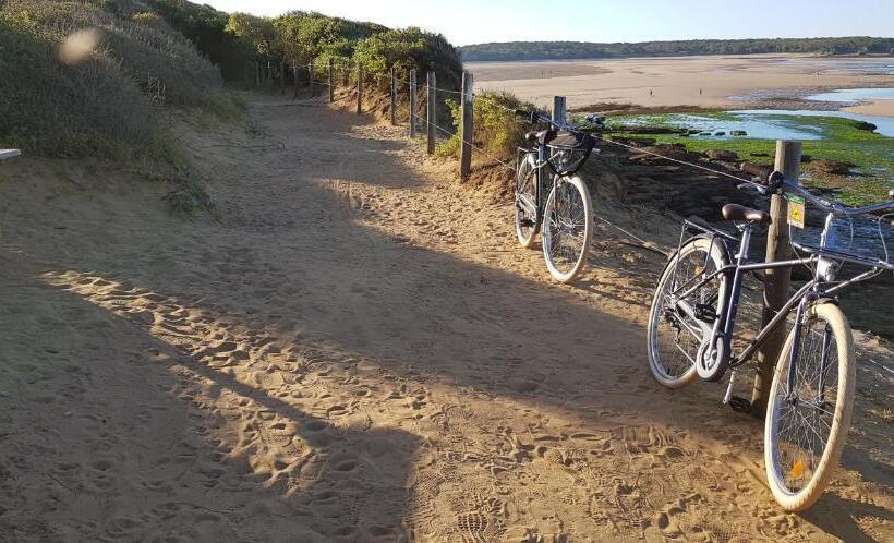 豪华海景房, Sea Snow Guest Houses