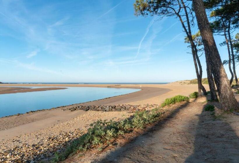 豪华海景房, Sea Snow Guest Houses