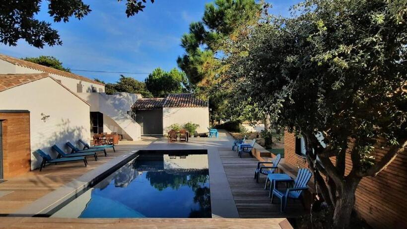 豪华海景房, Sea Snow Guest Houses