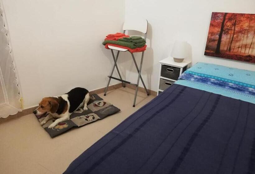 اتاق لوکس, Ciao B&b