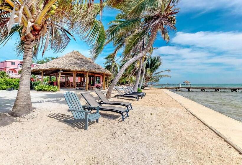 آپارتمان 3 خوابه, Palm @ Caribe Island
