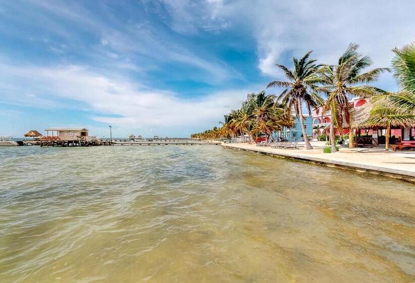 דירת שלושה חדרים, Palm @ Caribe Island