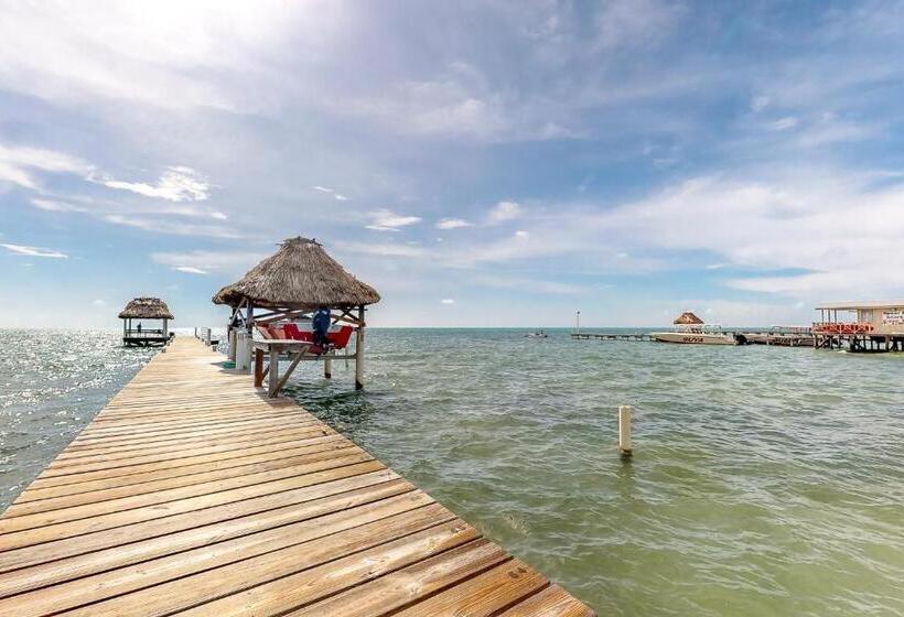 דירת שלושה חדרים, Palm @ Caribe Island