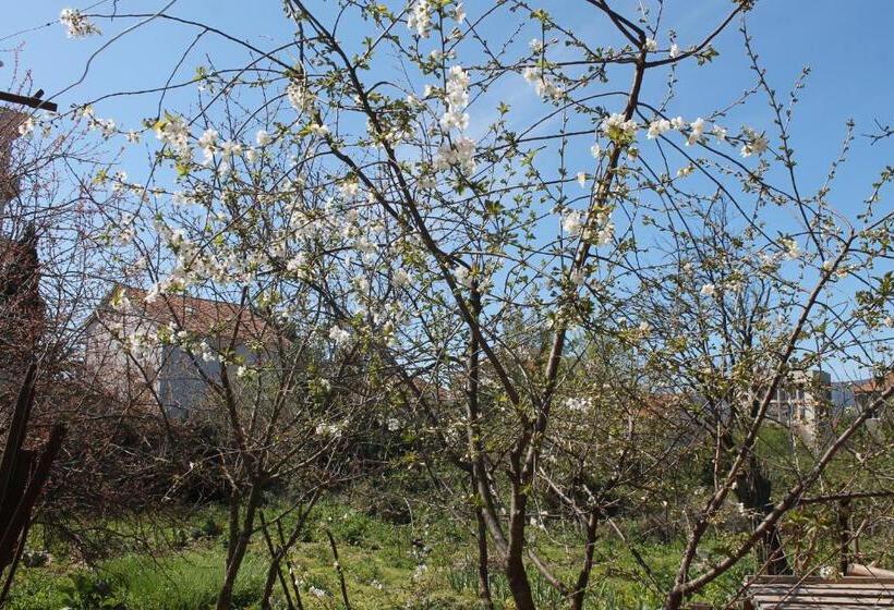 اتاق استاندارد سه تخته با بالکن, Sobe Tivat