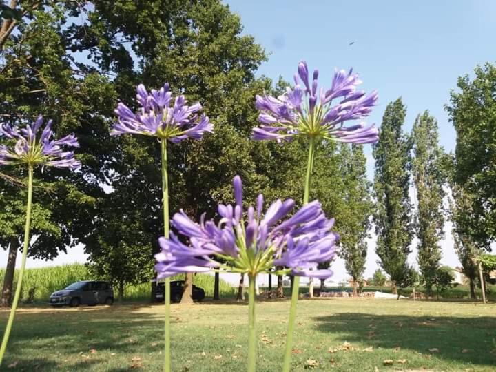 חדר סטנדרט, B&b Il Naviglio