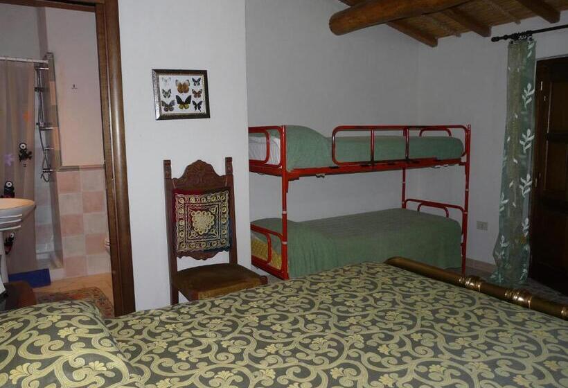 Номер Стандарт, B&b Nurachi