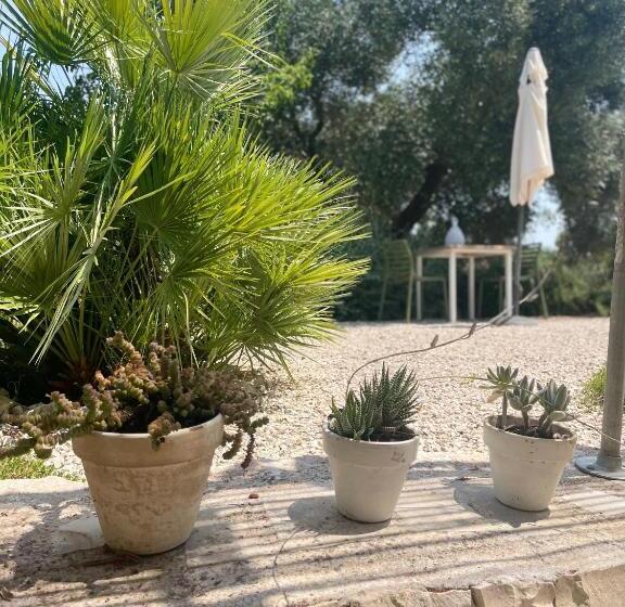 豪华工作室, Casa Della Scrittrice