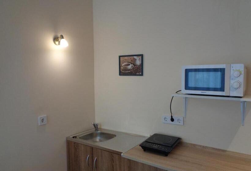 غرفة قياسية, Loft House Budapest