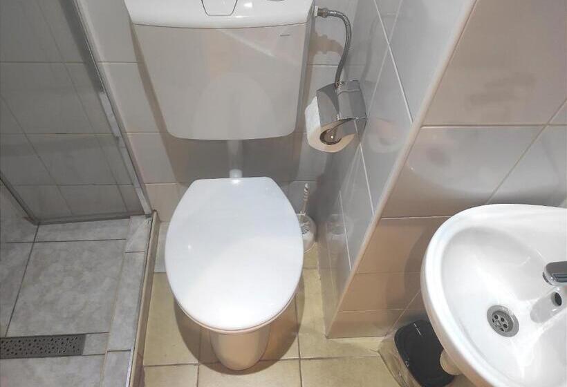 غرفة قياسية مطلة على المدينة, Loft House Budapest