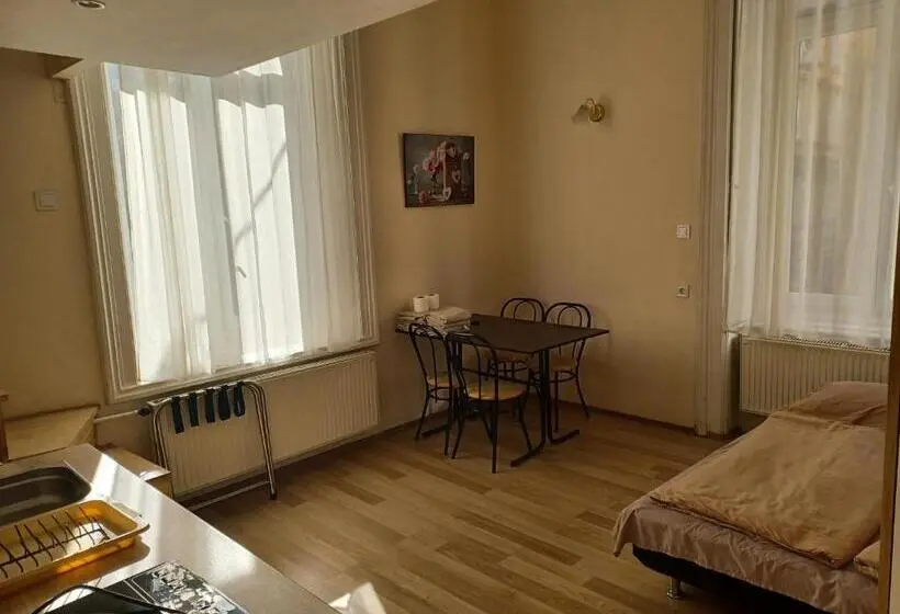 اتاق استاندارد با چشم‌انداز شهر, Loft House Budapest