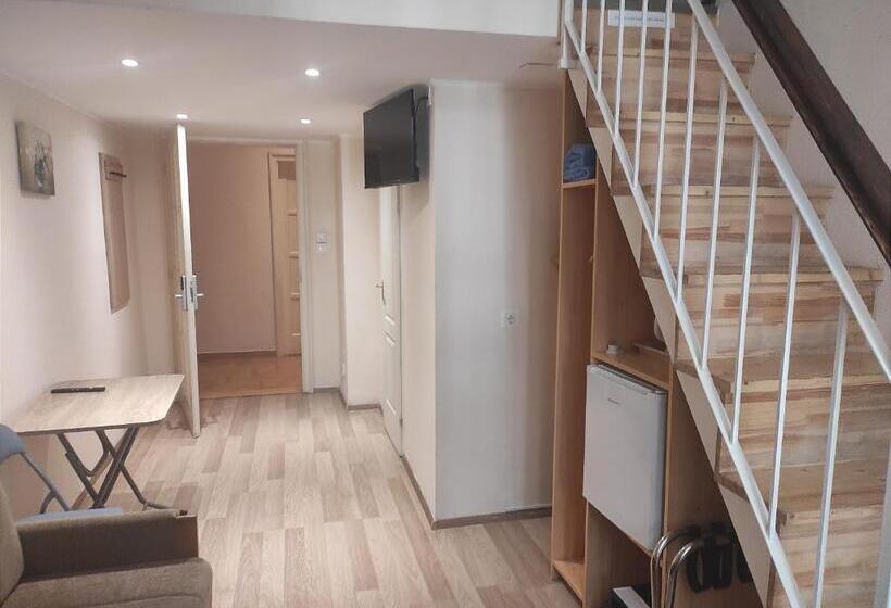 标准房带园景, Loft House Budapest