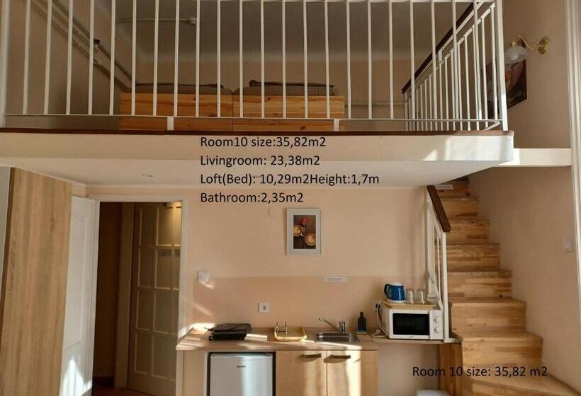 غرفة قياسية مطلة على المدينة, Loft House Budapest
