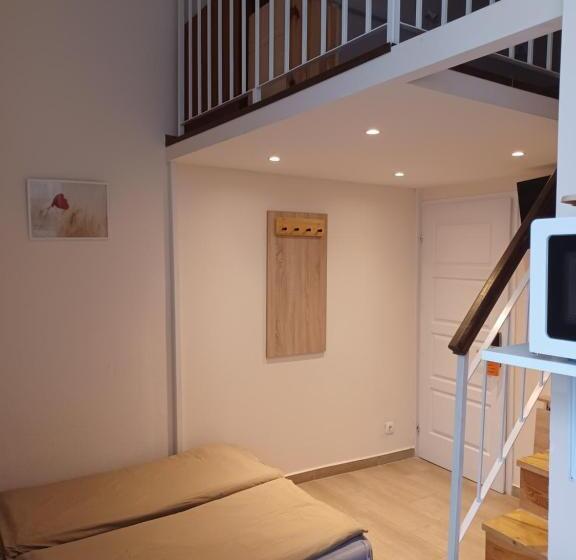 غرفة إقتصادية, Loft House Budapest