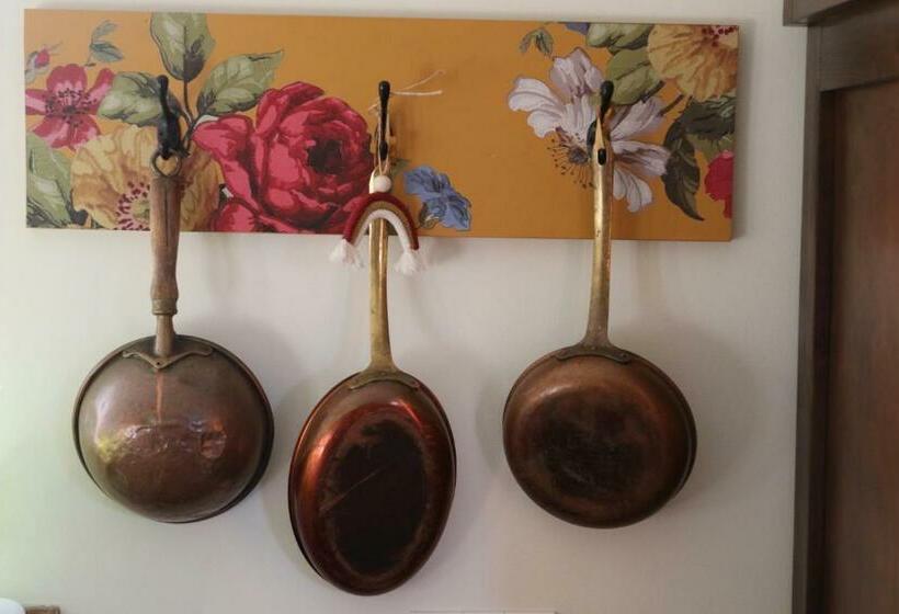 スタンダードルーム, Sunshine And Wine Loft