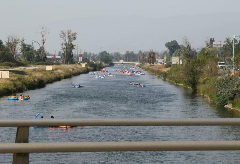 スタンダードルーム, Sunshine And Wine Loft
