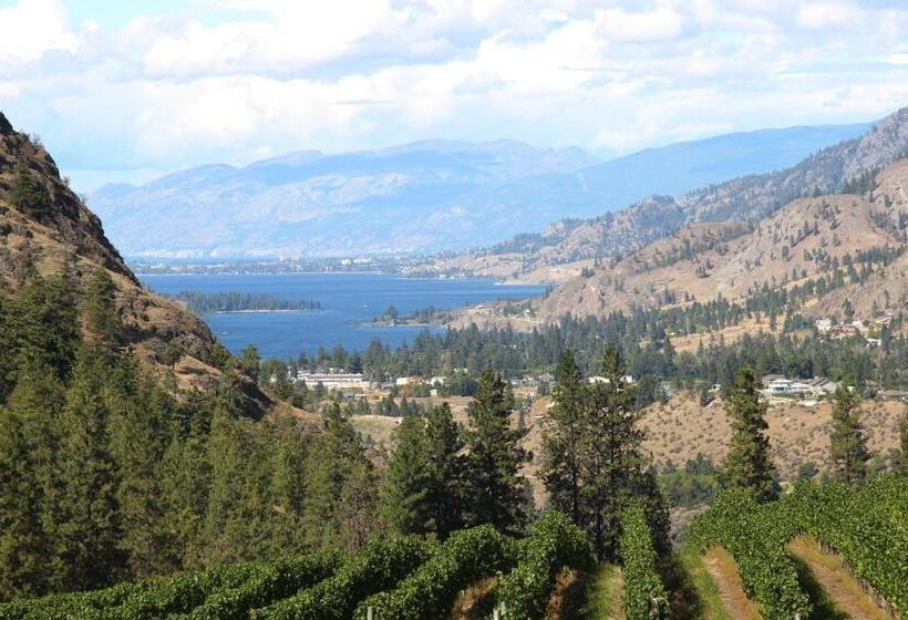 スタンダードルーム, Sunshine And Wine Loft