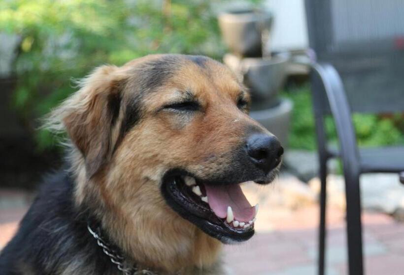 スタンダードルーム, Sunshine And Wine Loft