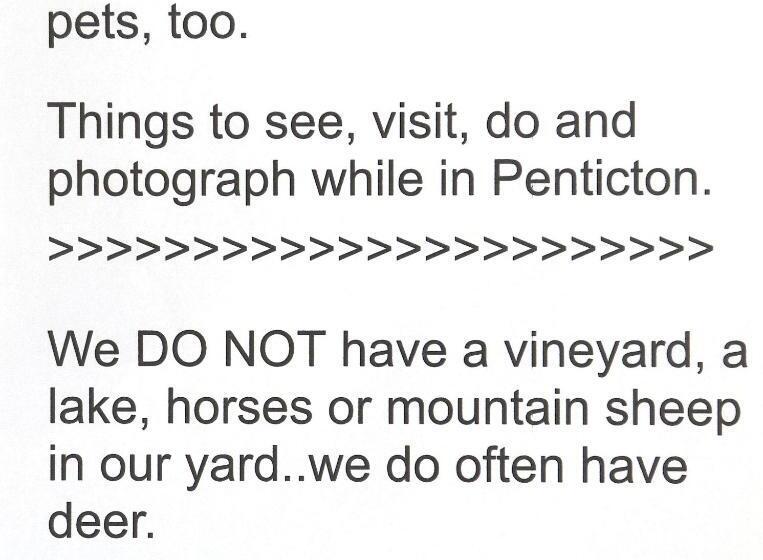 スタンダードルーム, Sunshine And Wine Loft