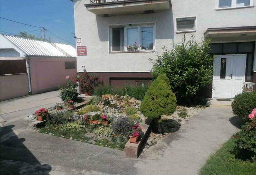 استودیو خانوادگی, Ubytovanie Harmony House