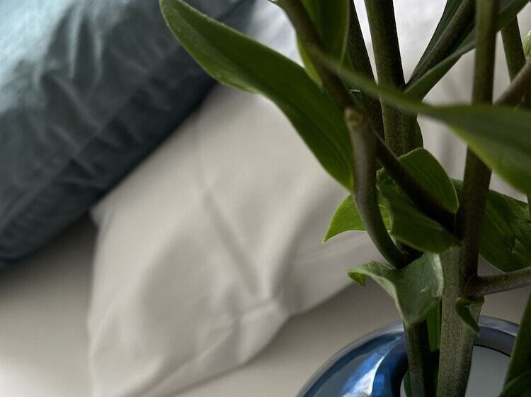 带2个卧室的公寓, Aparthotel Faber