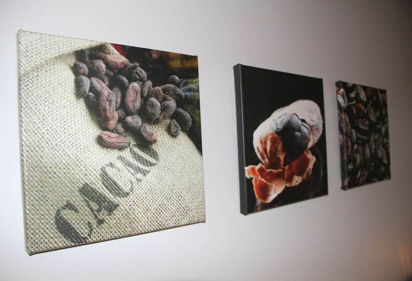 컴포트 룸, B&b Passadia