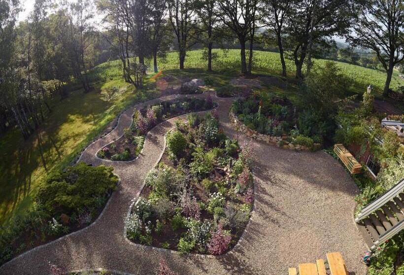 스탠다드 룸, Berghotel Hohe Mark