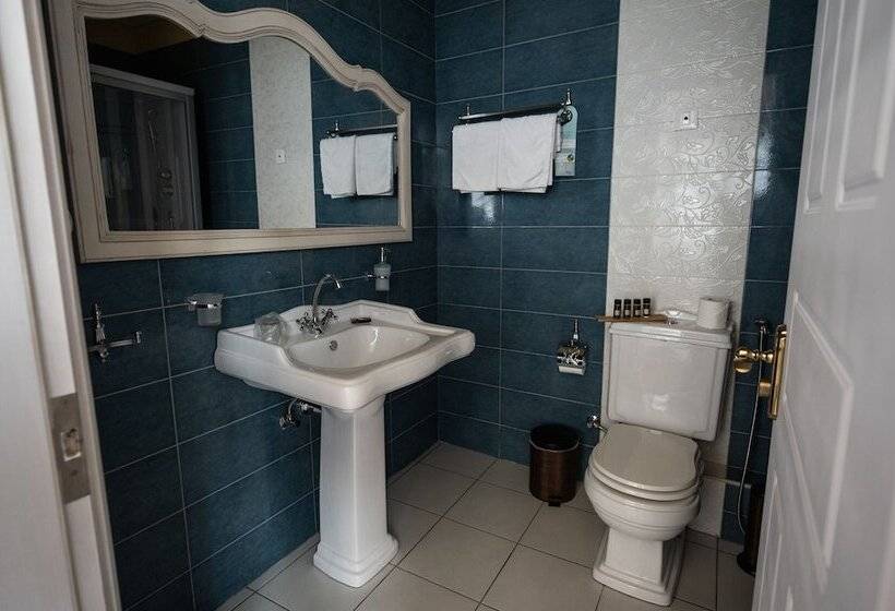 חדר סופריור, Boutique Hotel Anagennisis