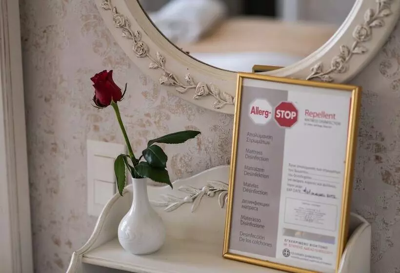 デラックスルーム, Boutique Hotel Anagennisis