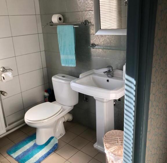 חדר דלוקס לארבעה, Guesthouse De Witte Merel Deluxe