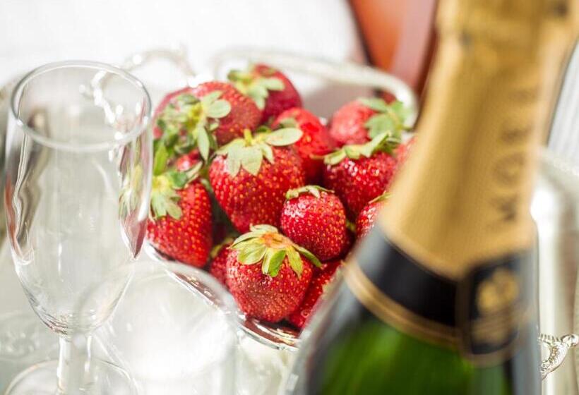 סטודיו סופריור, Electra