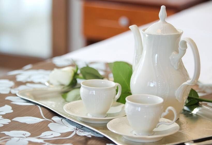 סטודיו סופריור, Electra