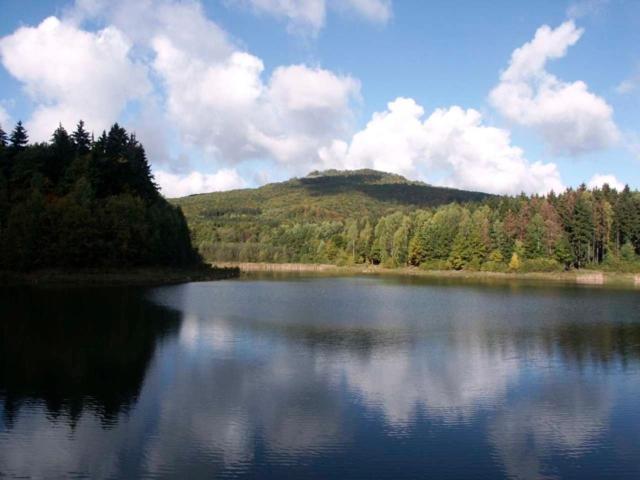 スタンダードルーム, & Restaurant Zum Hirsch