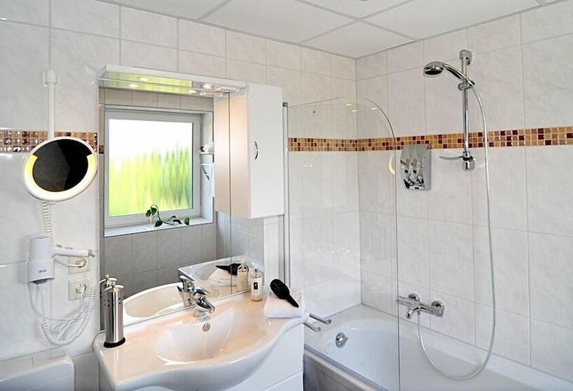 Студия Стандарт, Waldhotel Rheinbach