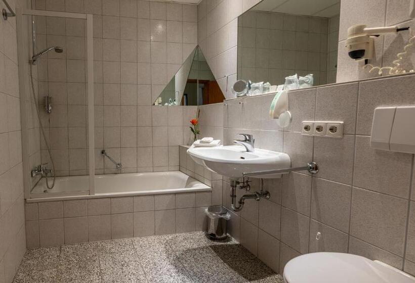 标准单人间, Residenz Royal