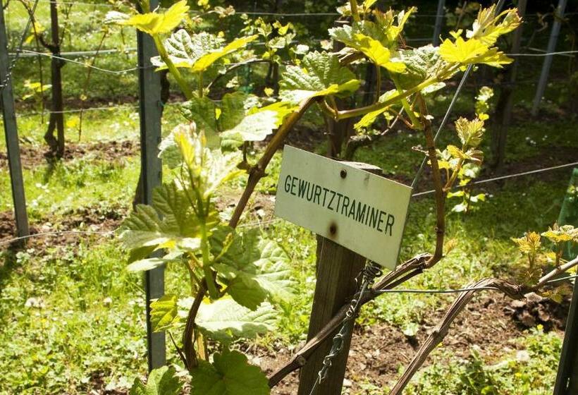 Апартаменты 1 Спальня, Villa Diana