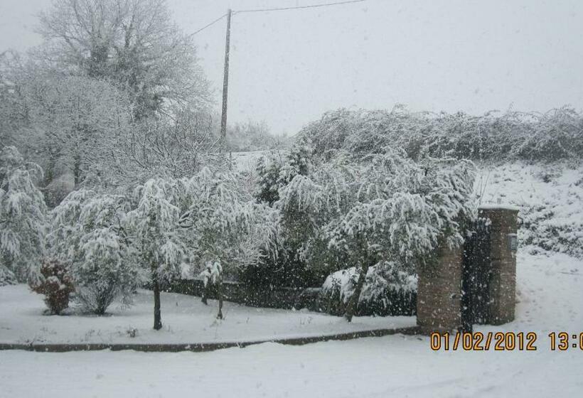 Номер Стандарт, Santa Croce