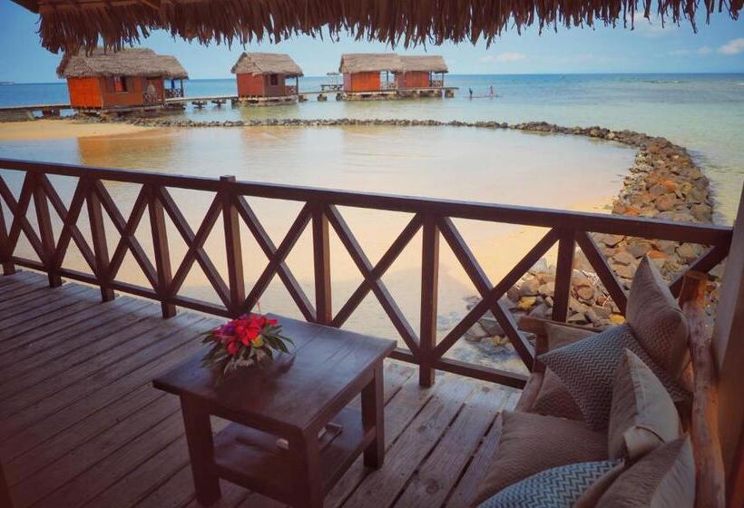 스위트 킹사이즈 침대, Lakana