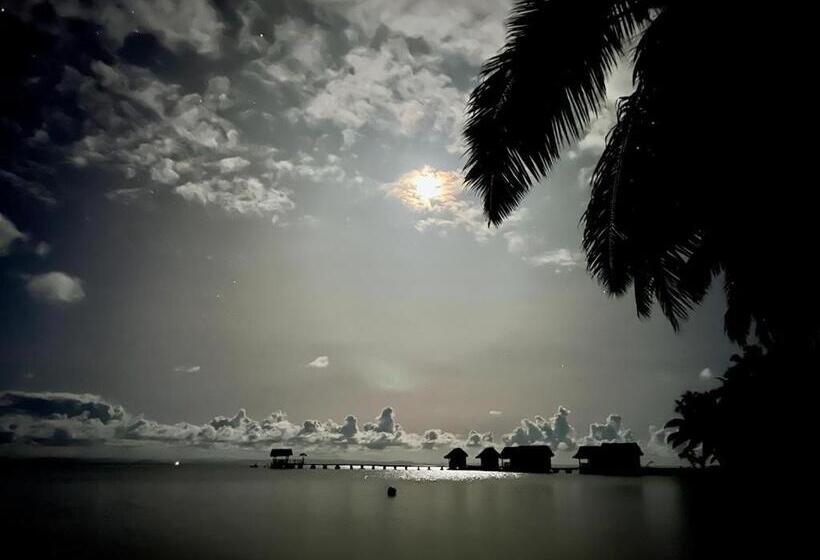 스탠다드 방갈로, Lakana