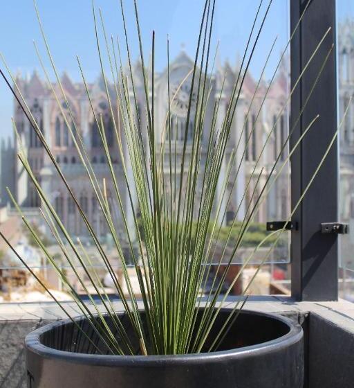 اتاق لوکس, La Casa Mia Leon