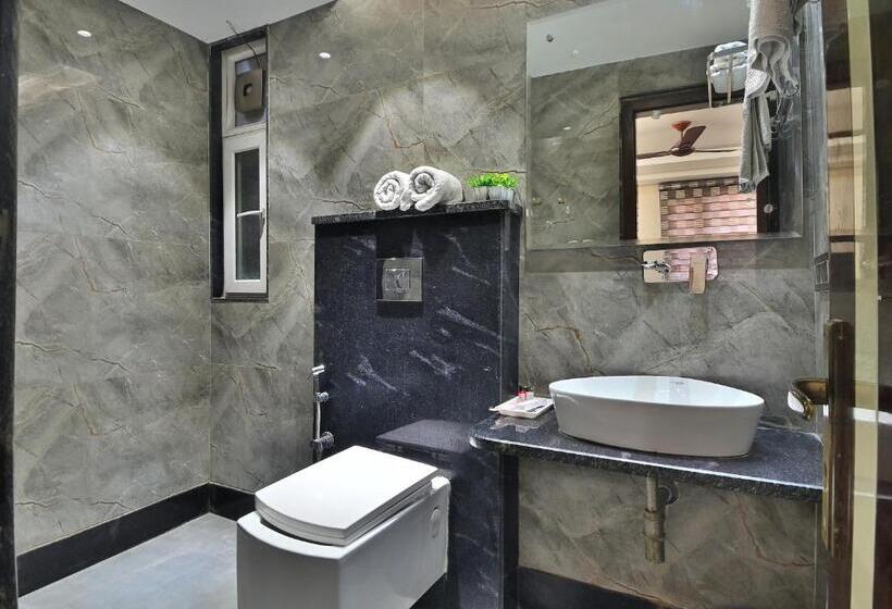 Студия Superior, Vanson Delite New Delhi Railway Station