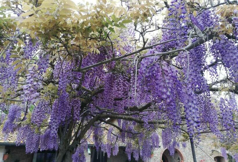 Апартаменты Superior 1 Спальня, Agriturismo Debbione Marconi