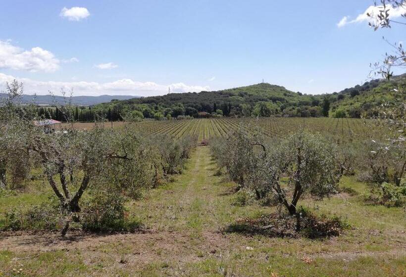 Апартаменты 1 Спальня, Agriturismo Debbione Marconi